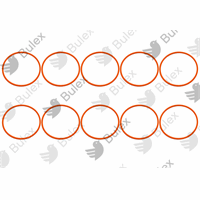 BULEX O DICHTING DIA 60 HR + OPALIA 10 STUKS