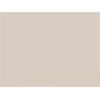 ARTISSAN SMART ACRYLIC 1001 X 2650  LICHT GRIJS MAT 6 MM 