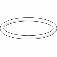 HANSA O DICHTINGEN VOOR EXENTRIEK HANSA EMOTION 