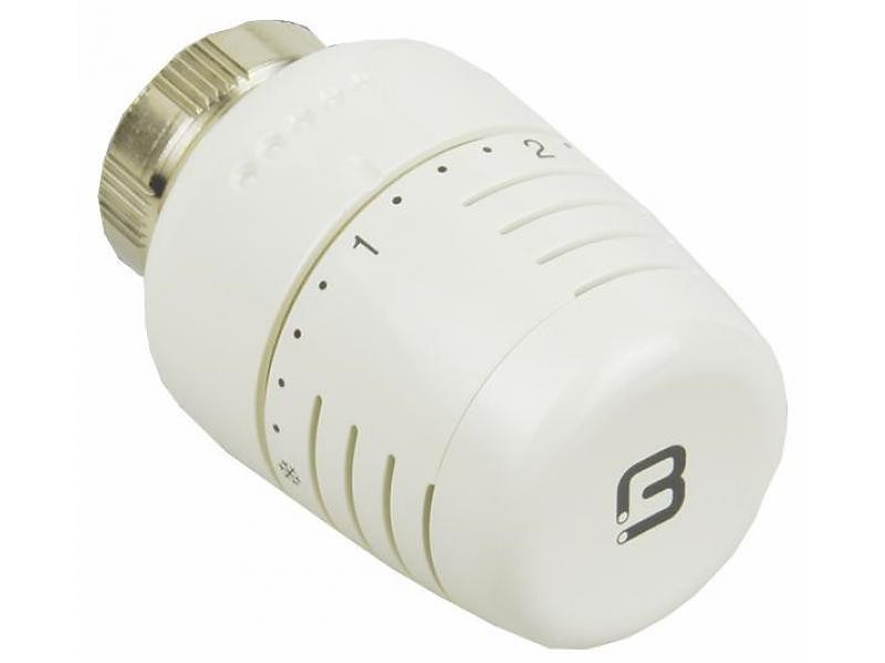 BEG THERMOSTAATKOP ROOD TYPE 5000 (80)