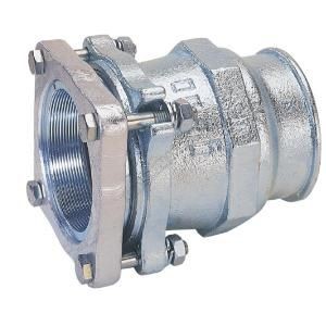 [740 3] 01.220.01.08 - RAC FONTE RECHTE KOPPELING 3"F X 3 