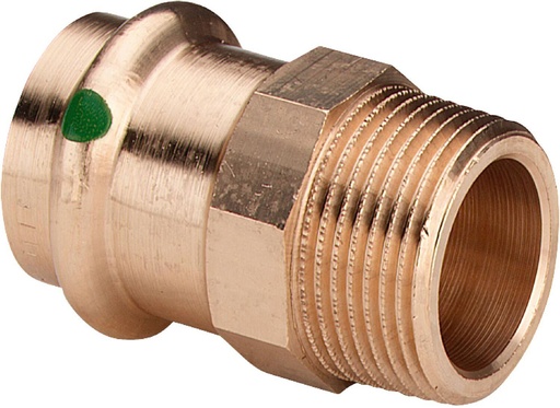 [P4243 22 1] PERS PUNTSTUK 22 X 4/4M