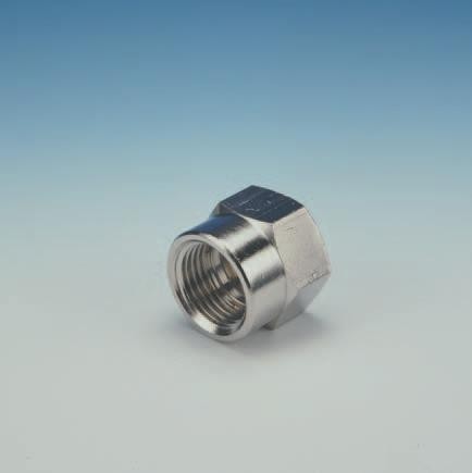 [400.022.657] 400022657 - BEG MOF VERNIKKELD 1/2F X M24BI